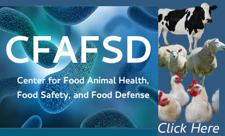 CFAFSD button image