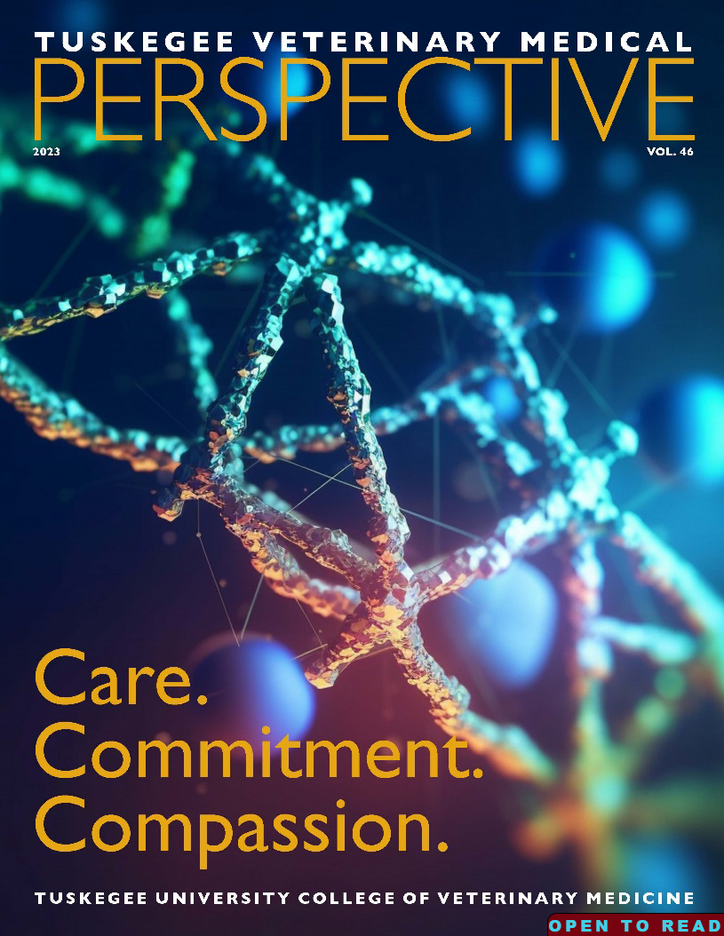 CVM-Perspective Magazine2023