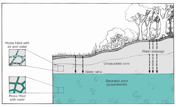 Diagram of the water table showing flow of water in a saturated zone