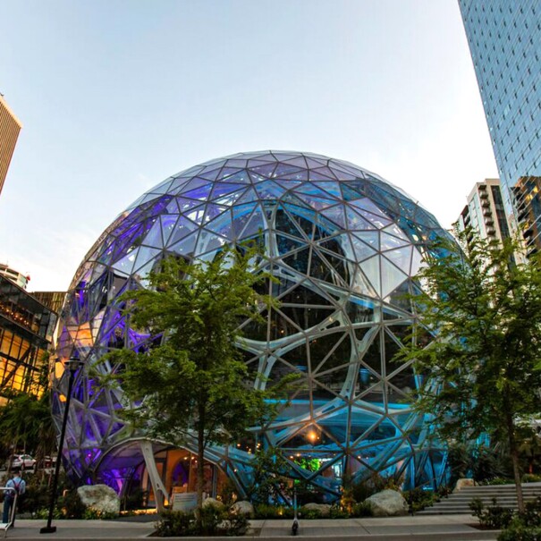 A photo of the spheres at Amazon's Puget Sound headquarters.