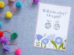 a string of multi-coloured pom poms and a gender reveal 'scratchie' card