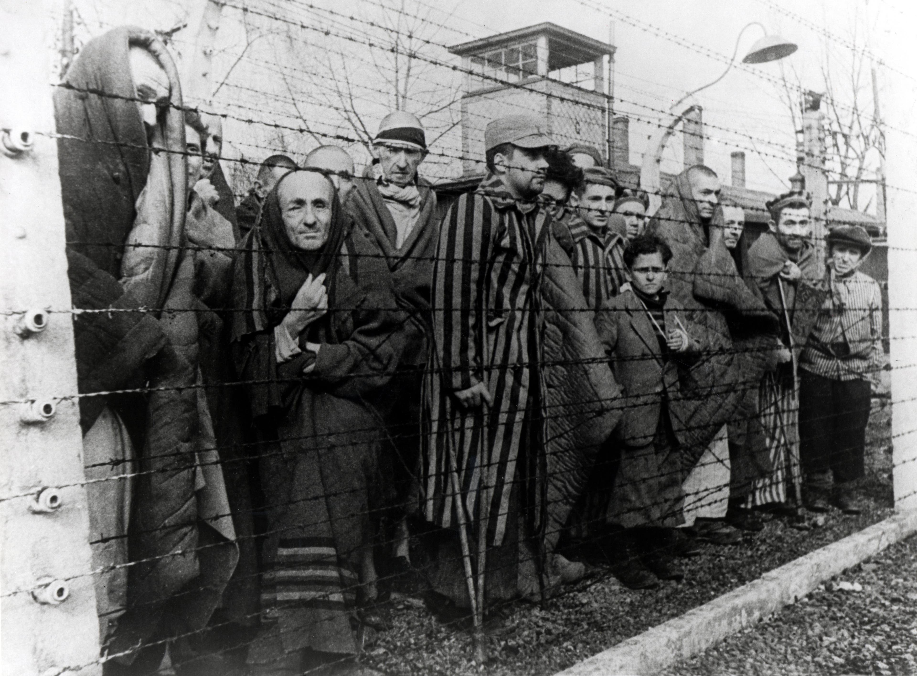 Liberation of Auschwitz: Photos