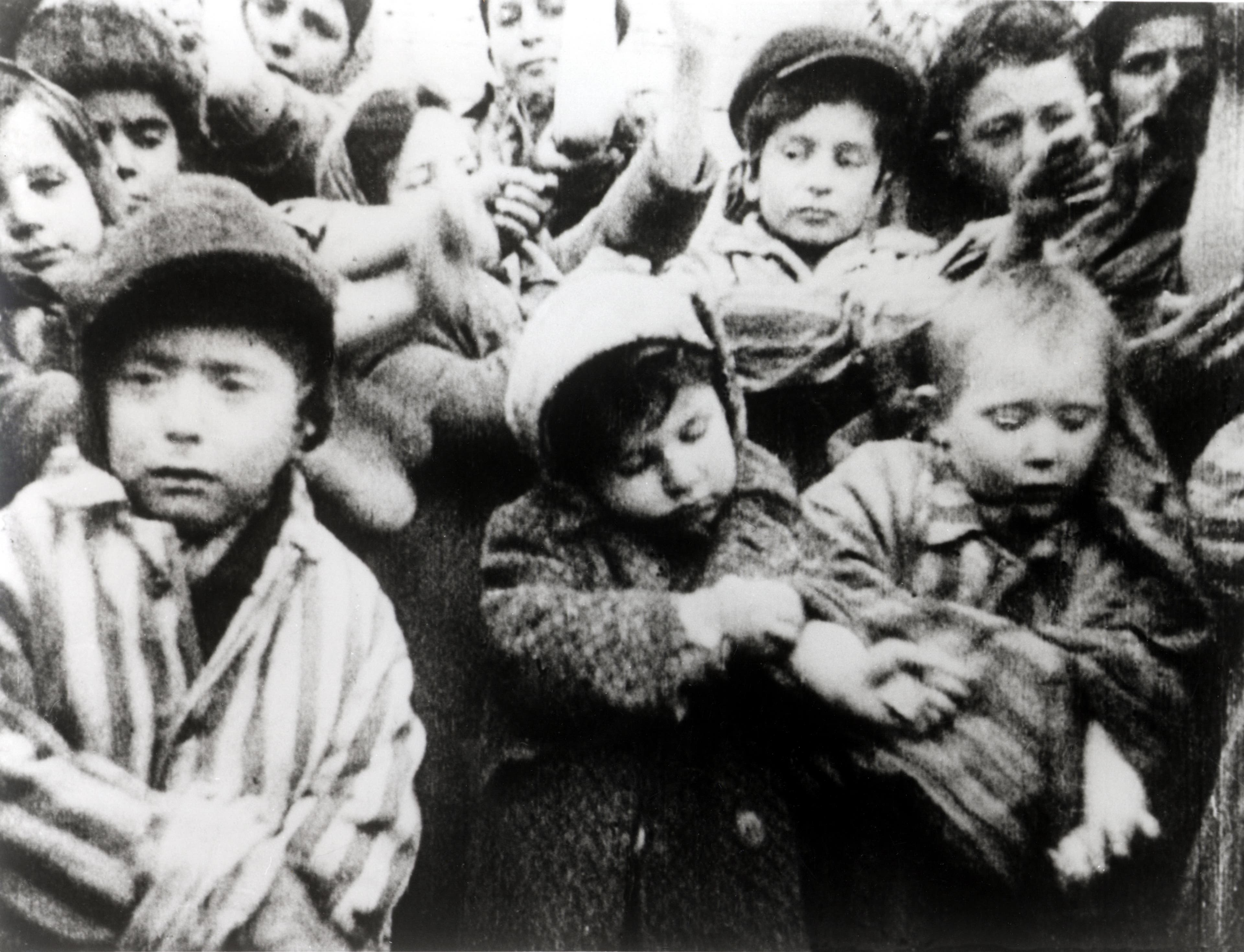Liberation of Auschwitz: Photos