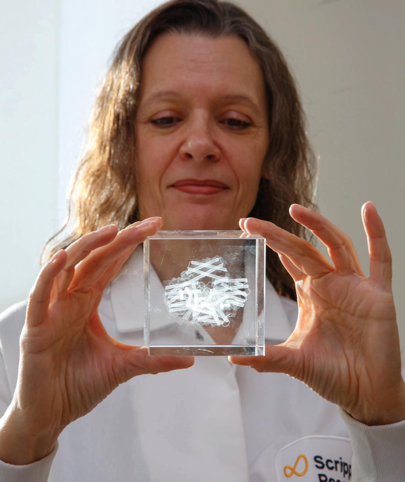 Structural biologist Tina Izard, PhD, holds a crystal cube etched with a "ribbon" model depicting vinculin. Vinculin is a protein that enables cells to adhere to one another.