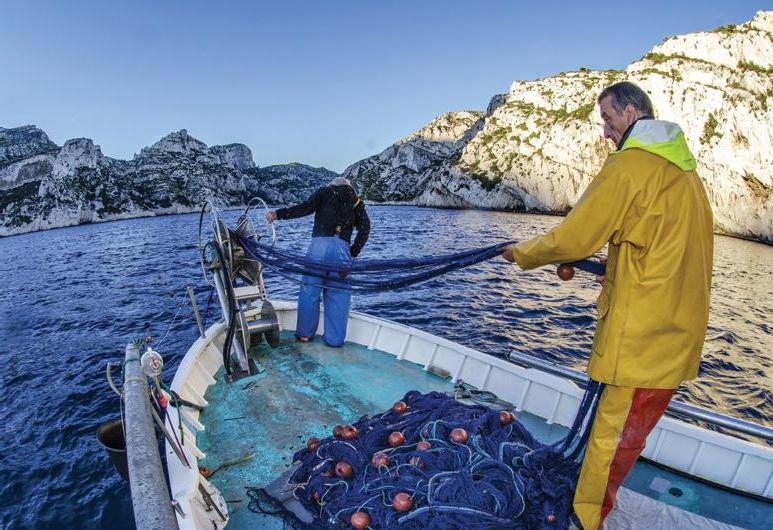Traditional family fisheries are failing © Mathieu Foulquie