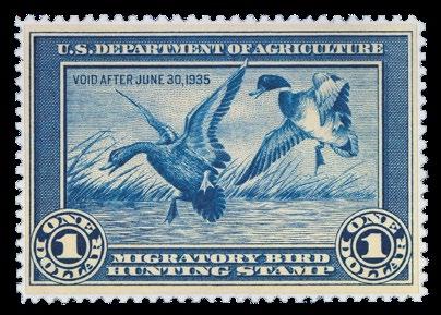 The first Duck Stamp (1934-35) was designed by J.N. “Ding” Darling.
