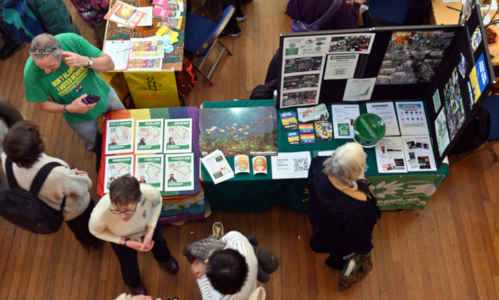 Oxfordshire Green Party stall