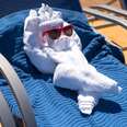 towel animal tiktok carnival cruise line