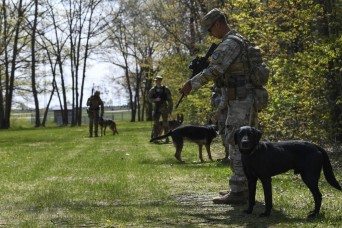 Army holds DOD military working dog symposium with interagency partners 