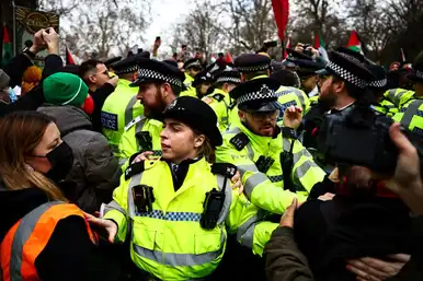 Blame politicians for Palestine march chaos, not the police