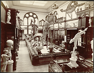 What is now the Faculty Room in Nassau Hall once housed the University’s first museum, in which works of art, archaeology, and natural history were displayed side by side, ca. 1886