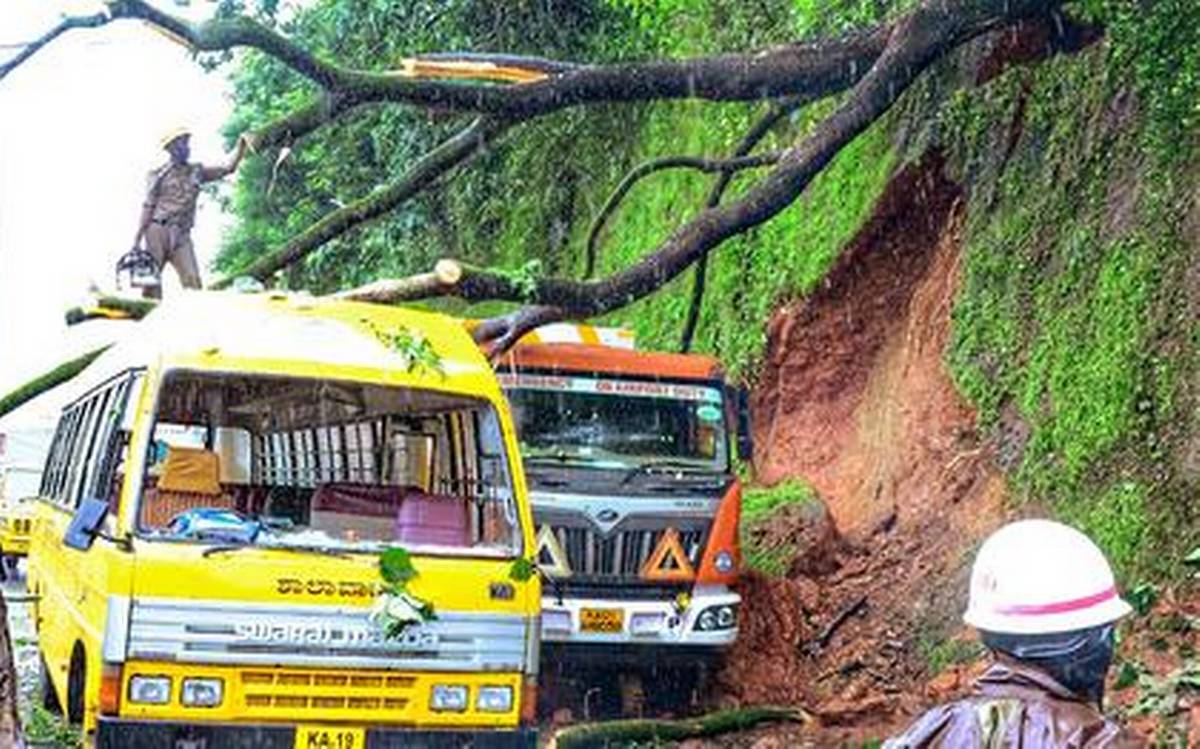 Students get away unhurt after tree falls on faculty bus in Bengaluru