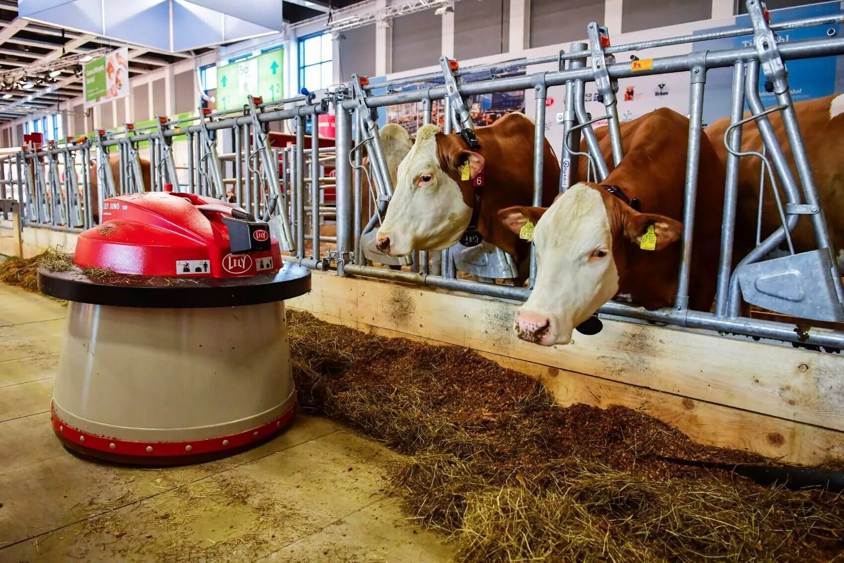 Технология сельскохозяйственного производства. Оборудование для молочного животноводства. Роботизированная молочная ферма. Роботы в животноводстве. Современные фермы для коров.