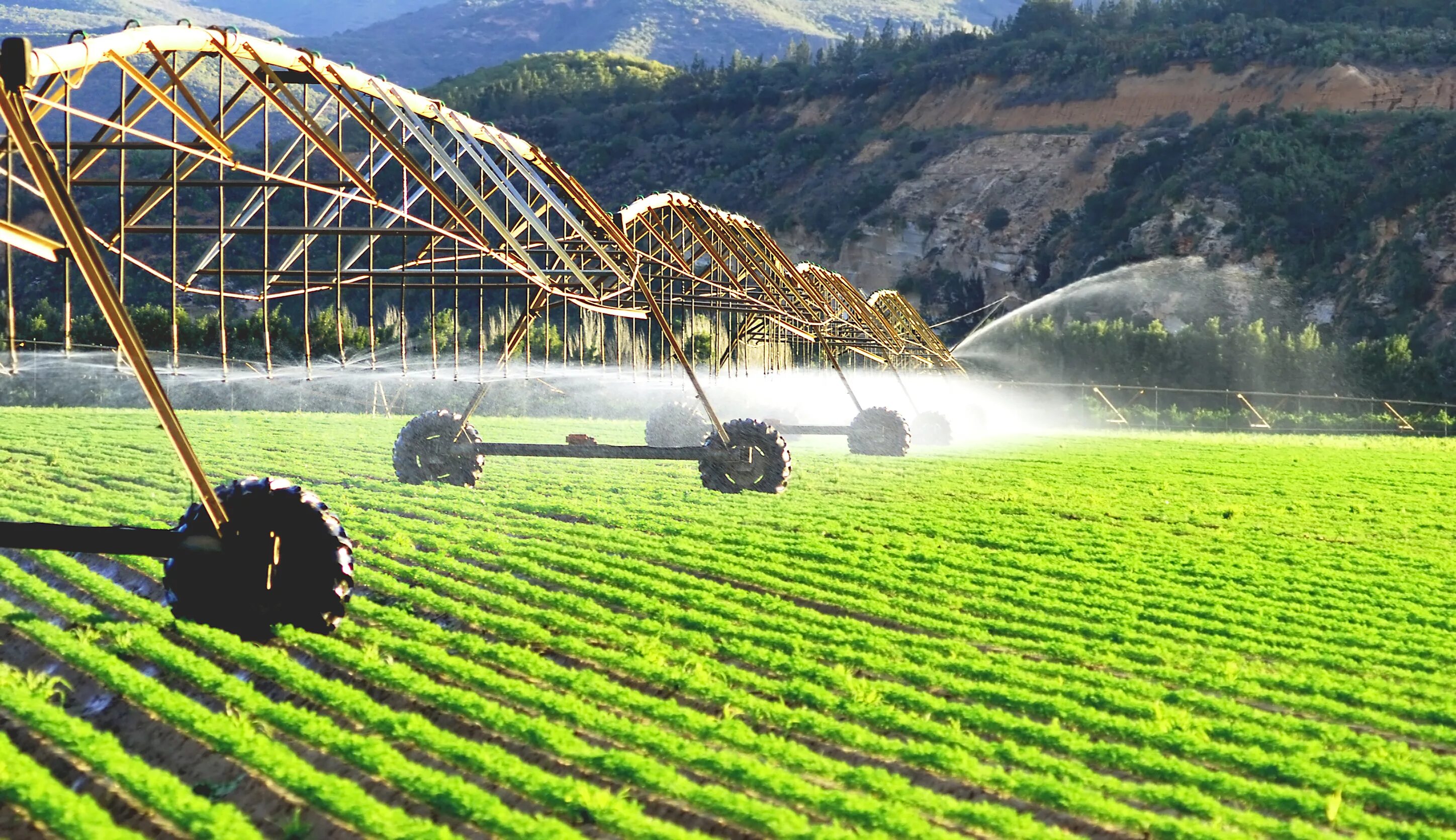 Технология сельскохозяйственного производства. Агрономическая мелиорация. Сельское хозяйство Германия 21 век. Современное сельское хозяйство. Сельскохозяйственная промышленность.