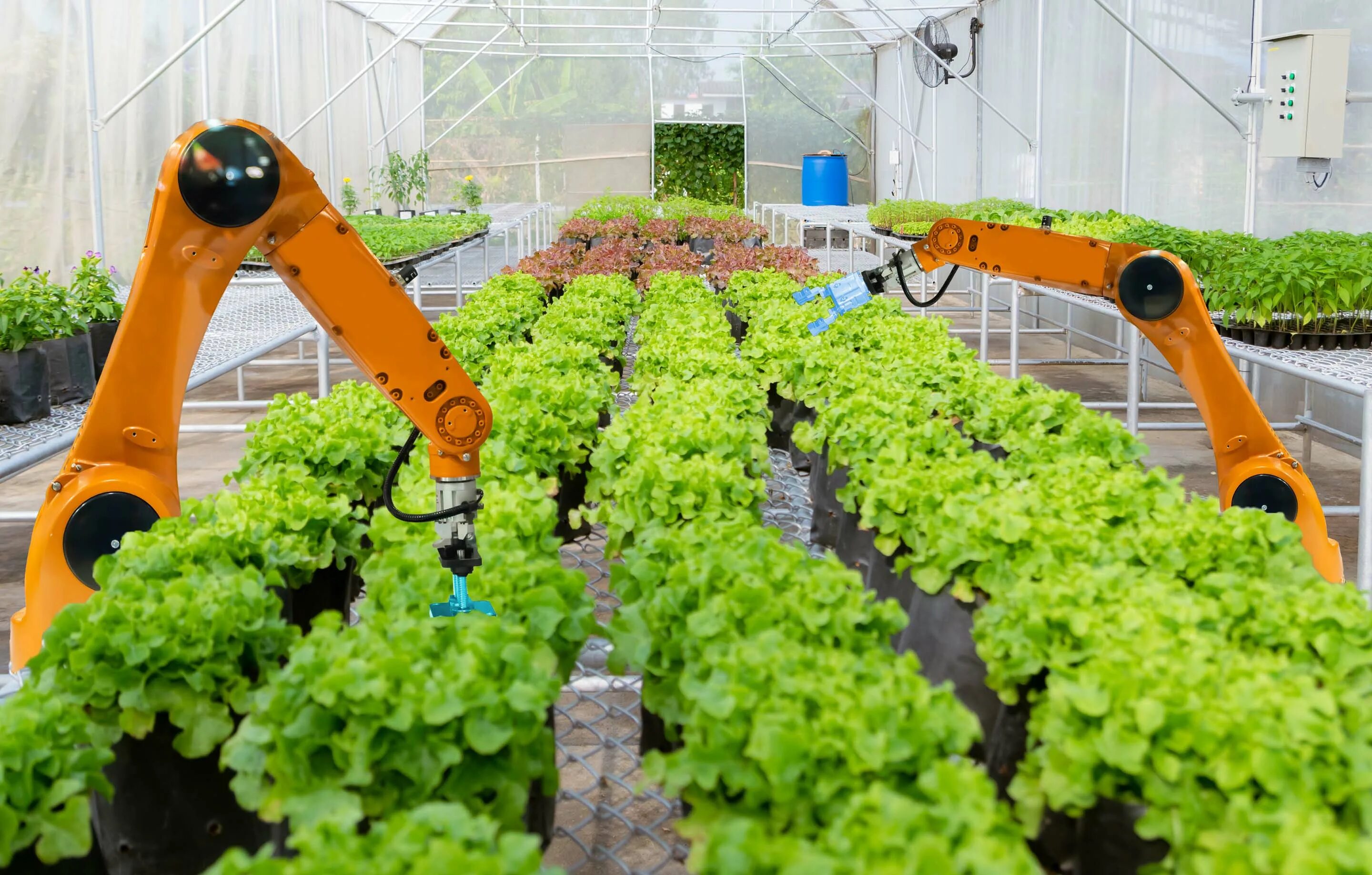 Технология сельскохозяйственного производства. Роботы в сельском хозяйстве. Инновации в сельском хозяйстве. Инновации в растениеводстве. Роботы в растениеводстве.