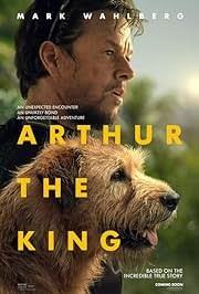 Arthur the king Book cover