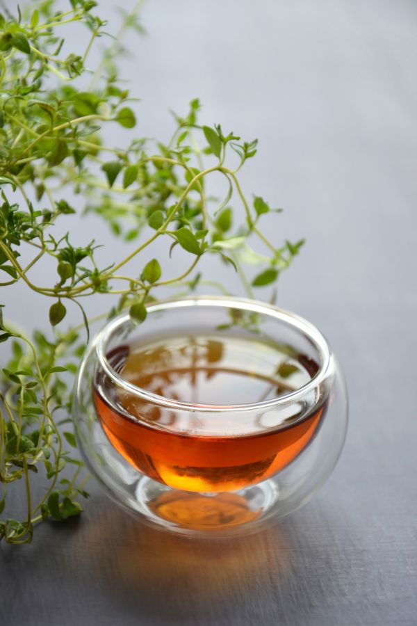 té,té de hierbas,tomillo,fragante,planta,planta medicinal