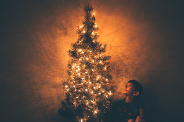 Baum,Weihnachtsbaum,Himmel,Weihnachten,Weihnachtsdekoration,Nacht-