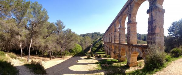 Tarragona, Tây Ban Nha, Catalonia, Ống dẫn nước La Mã, Pont del Diable, thực vật