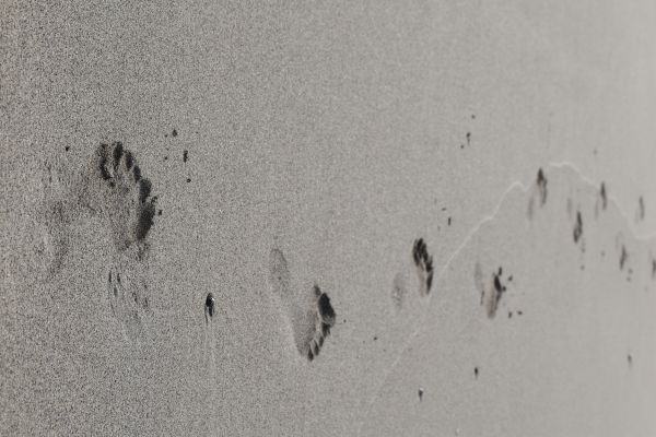 wall,concrete,plaster,foot,sand,footprint