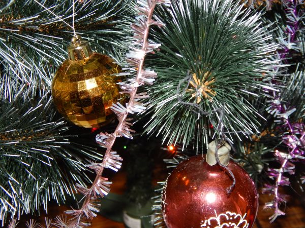jul,kontor,träd,Semester,företag,dekoration