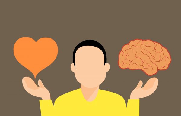 απόφαση,εγκέφαλος,καρδιά,μυαλό,δύσκολος,vs