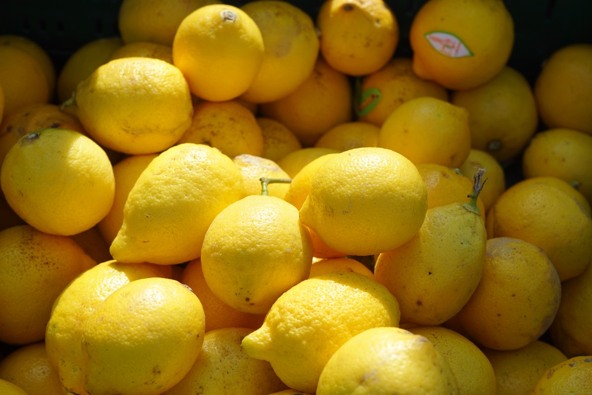 rastlina, ovocný, jedlo, vyrobiť, žltá, zdravý, citrón, ovocie, kumquat, zľava, vitamíny, Frisch, citrón, citrus, kyslý, citróny, citrusové ovocie, kvitnúca rastlina, ovocný, horký pomaranč, rastlina krajiny, sladký citrón, meyer citrón, tangelo, yuzu