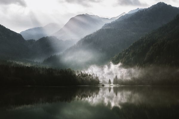 réflexion, la nature, eau, montagnes, brouillard, Lac