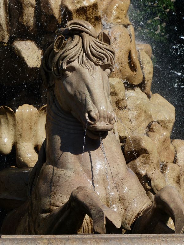 woda, pomnik, statua, Niedźwiedź, koń, waga