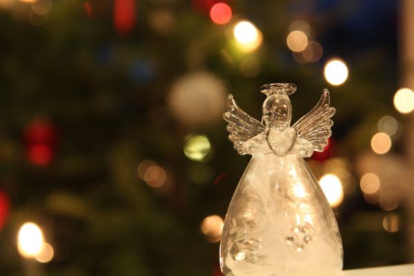 Baum,Licht,Dekoration,Urlaub,Weihnachten,Beleuchtung