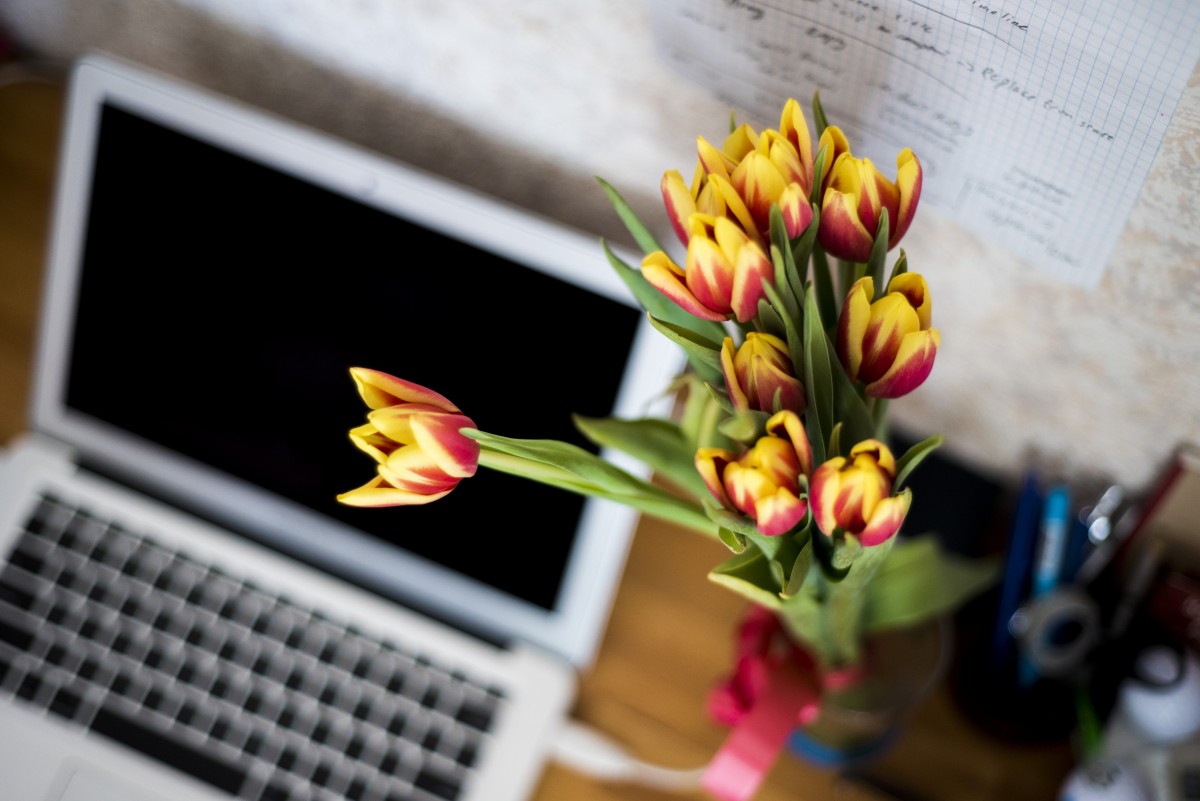 лаптоп, бюро, компютър, маса, растение, клавиатура, цвете, пролет, цвят, офис, жълт, флора, работна станция, цветя, цветя, работно място, букет цветя, флорален дизайн, аранжиране на цветя