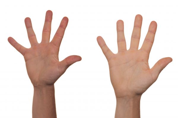 hand-,man,Open,jongen,vinger,palm