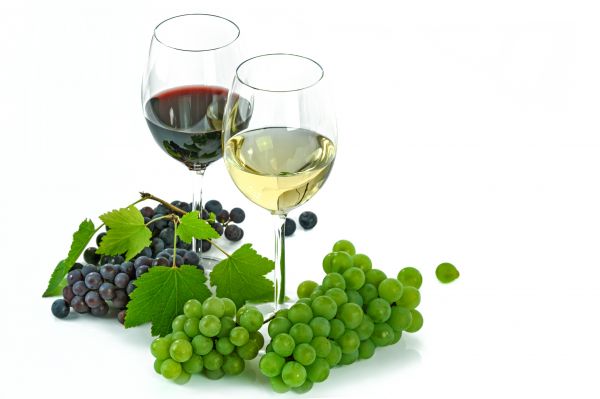 folyékony, szőlő, bor, növény, fehér, gyümölcs