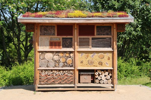 wood,insect,gazebo,furniture,insect house,nature conservation