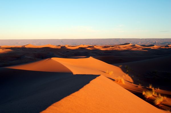 景观,性质,砂,日落,地平线,沙漠