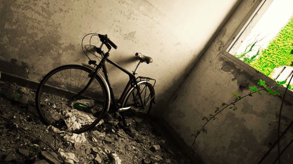빛,검정색과 흰색,사진술,탈출,자전거,자전거
