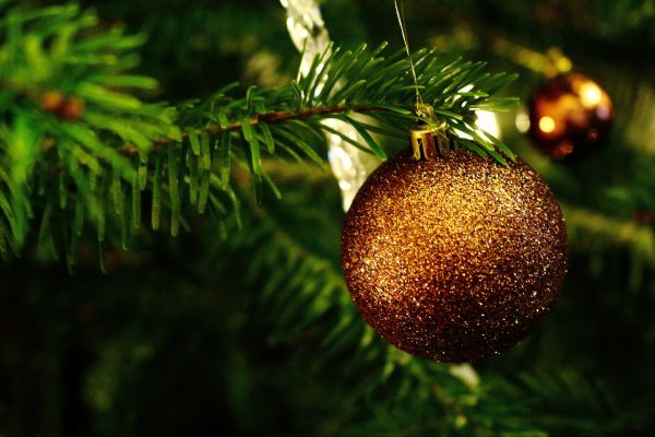 树, 科, 厂, 装饰, 绿色, 圣诞