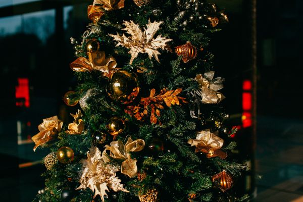Baum,Ast,Blume,Dekoration,Urlaub,Weihnachten
