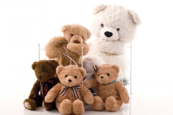 kelompok,putih,studio,coklat,mainan,beruang teddy