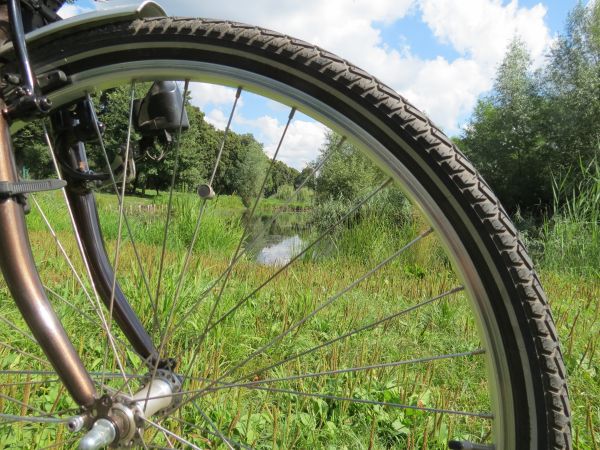 스포츠, 바퀴, 자전거, 나무, 물, 자연