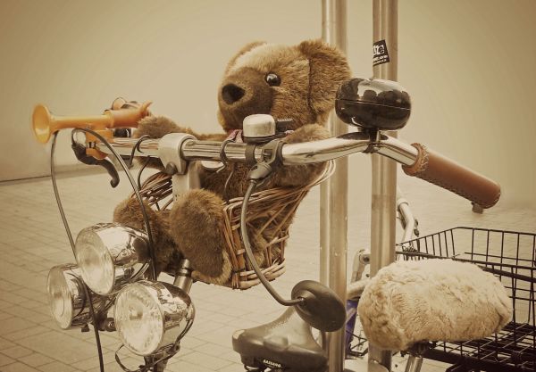 bicicleta,animal,linda,oso,juguete,bodegón