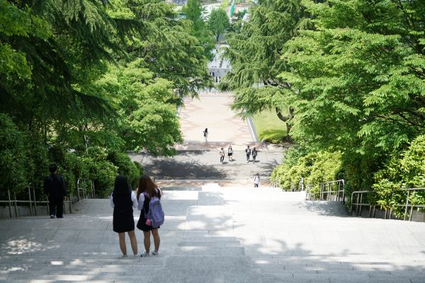 pohon,berjalan,taman,pariwisata,Korea,tangga
