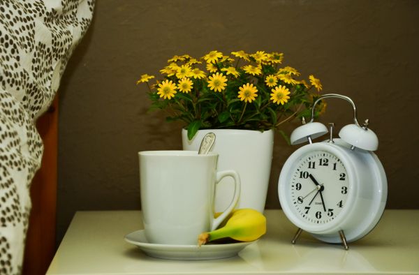 ébresztőóra,virág,csésze,kerámiai,pihenés,sárga