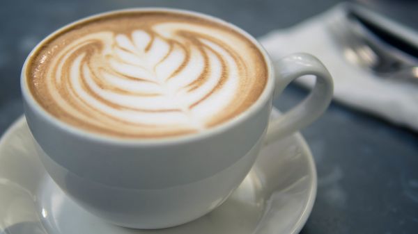 café,mousse,Coupe,latté,cappuccino,fleur