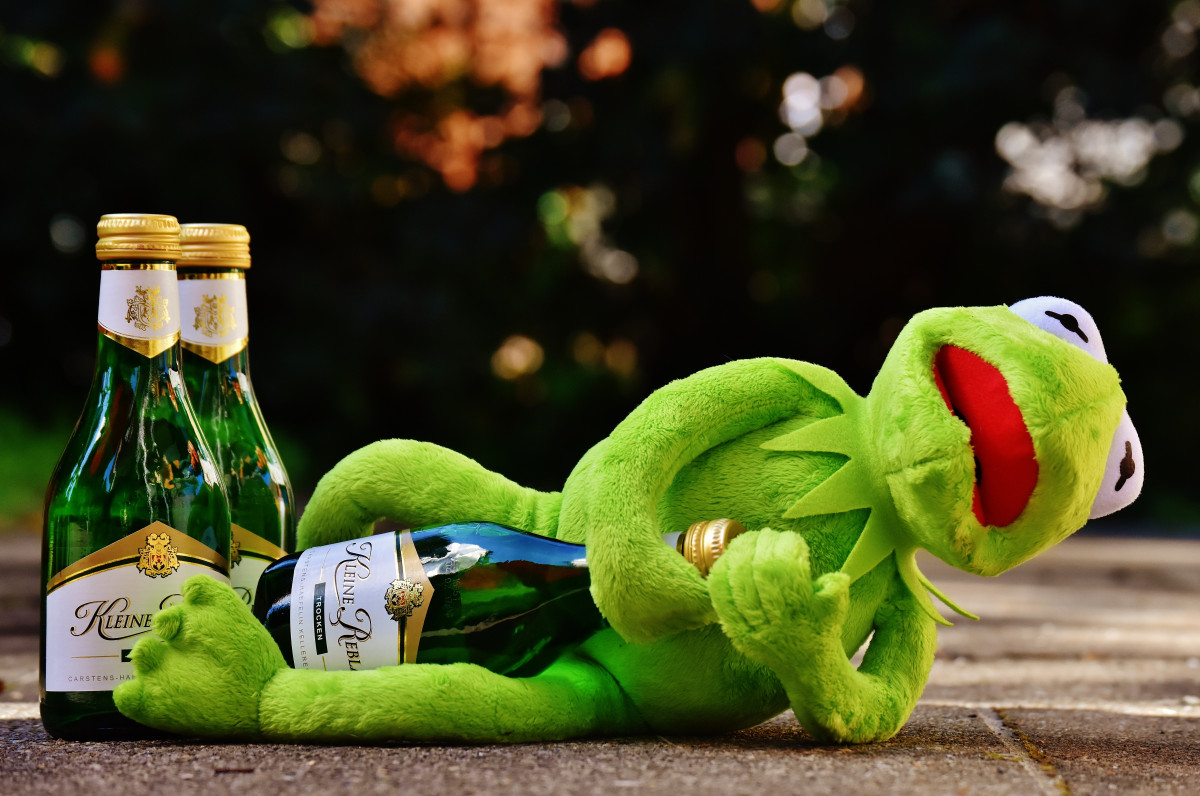 vinho, flor, animal, verde, beber, descansar, rã, brinquedo, álcool, FIG, sentar, bêbado, engraçado, Alemanha, pelúcia, bicho de pelúcia, Kermit, Sapos, Brinquedo de pelúcia
