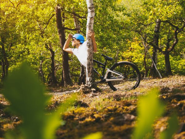 cyklistika,horské kolo,jízdní kolo,People in nature,Příroda,zelená