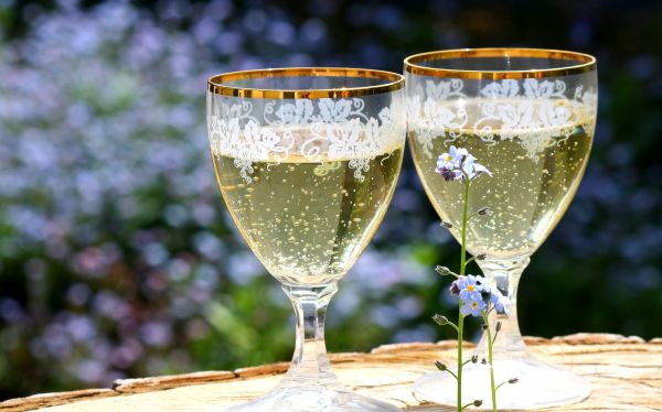 вино,стъклена чаша,питие,обичам,пролет,заедно