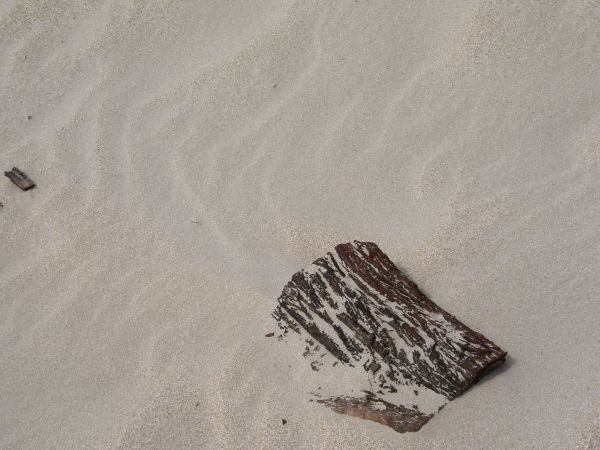 pasir,pantai,putih,tekstur,bahan,sketsa