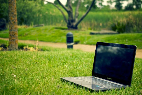 лаптоп,тетрадка,компютър,работа,дърво,природа