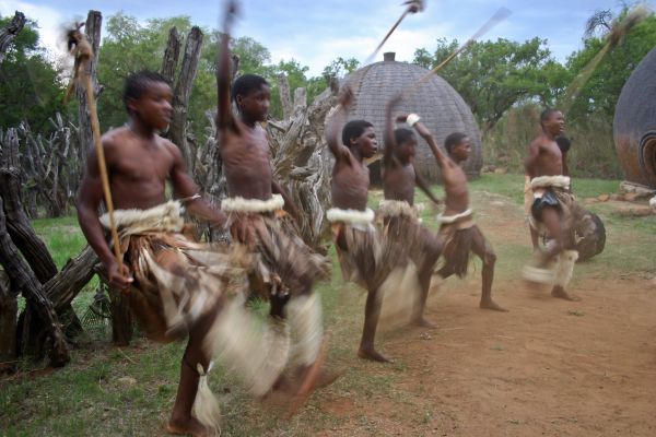 pessoas,tribo,selva,movimento,África do Sul,animal de carga